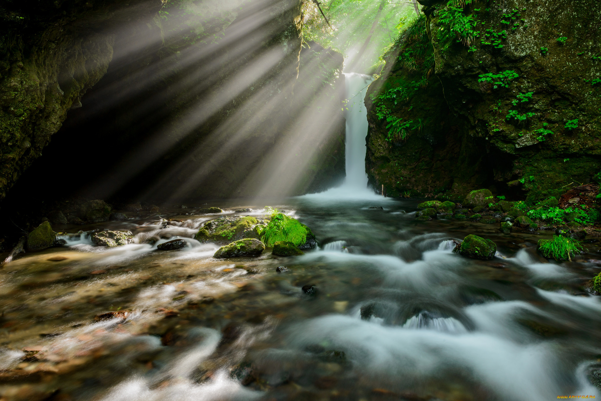 , , , , , , , water, stream, waterfall, autumn, leaves